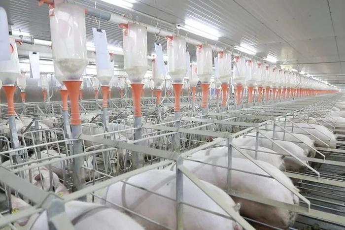 向大海更遠處航行 劉永好2023寄語與生物飼料研發的新希望