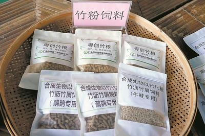 清遠英德西牛鎮 打造“以竹代塑”“以竹代糧”綠色產業，推動生物飼料研發