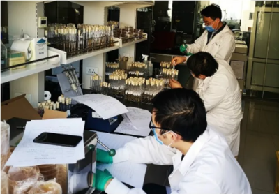 圖說2020 那些感動中輕的難忘瞬間——生物飼料研發篇