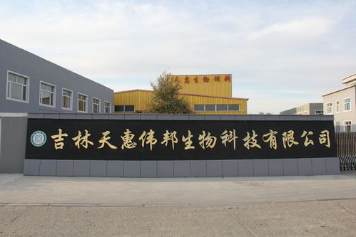 天惠生物發酵飼料 以創新研發助力生態健康養殖新篇章