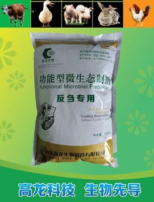 利康源牛用益生菌助力育肥牛提前出欄，生物飼料研發引領養殖新趨勢